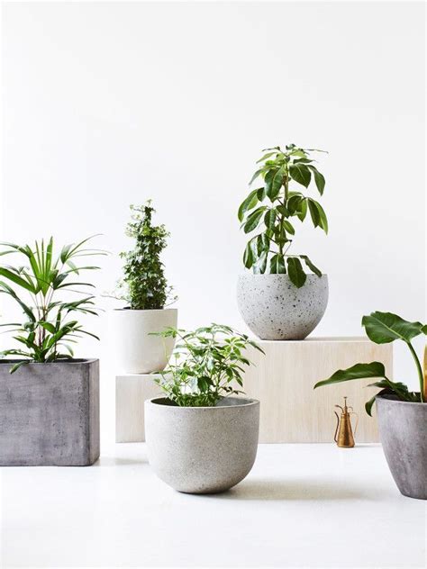 25+ best Plant Design ideas on Pinterest | Landscape ...
