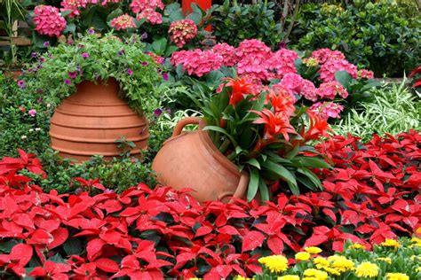 25 Hydrangea Flower Pot and Planter Arrangements  PHOTOS