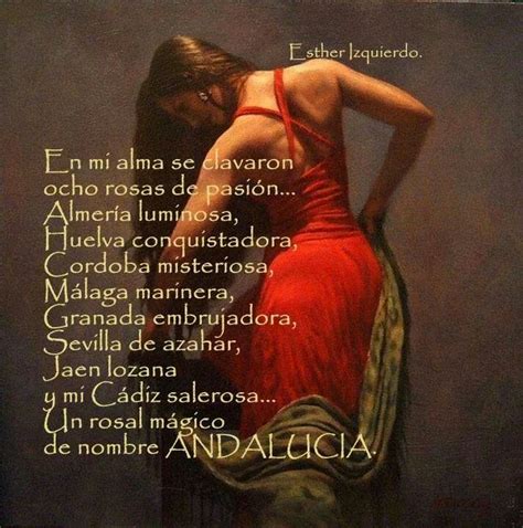 25+ melhores ideias de Frases flamencas no Pinterest | Mi ...