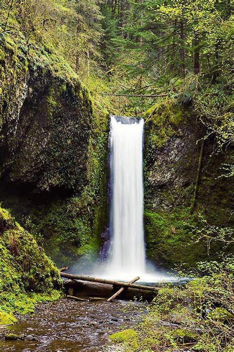 25+ melhores ideias sobre Cataratas Multnomah, Oregon no ...