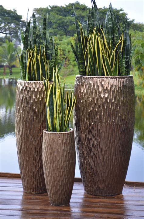 26 best images about New Trends in Garden Containers on ...