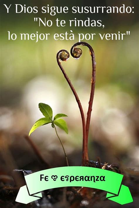 26 best No TE RINDAS! images on Pinterest | Spanish quotes ...