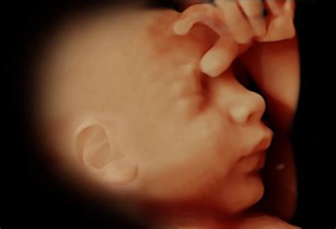 26 semanas de embarazo   ¡A ponerse guapa! | Maternidadfacil
