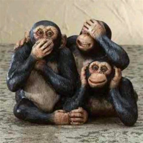 27 best Three Wise Monkeys images on Pinterest | Three ...