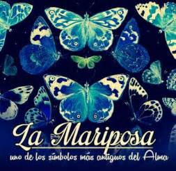 27 Mariposa. | Mariposa Azul de Luz