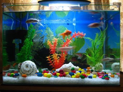 28 Modern Fish Tanks That Inspire Relaxation