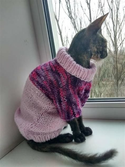 29 best ROPA GATOS SPHYNX images on Pinterest | Cats, Cute ...