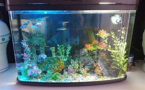 2ft x 1ft cold water fish tank • £150.00   PicClick UK