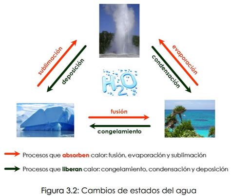 3.1 El agua y sus estados – Introducción a las ciencias ...