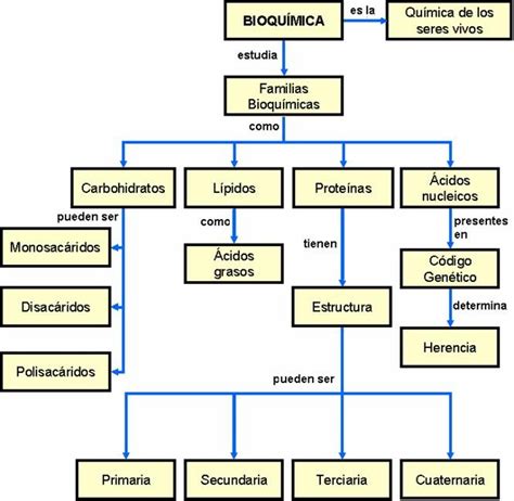 3. ESTRUCTURA Y FUNCION DE LAS PRINCIPALES BIOMOLECULAS ...