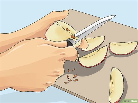 3 formas de sembrar semillas de manzana   wikiHow