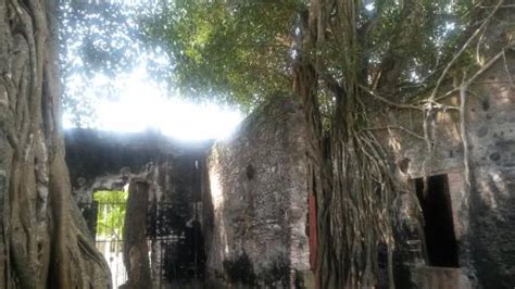 3   Picture of Casa de Hernan Cortes, Veracruz   TripAdvisor