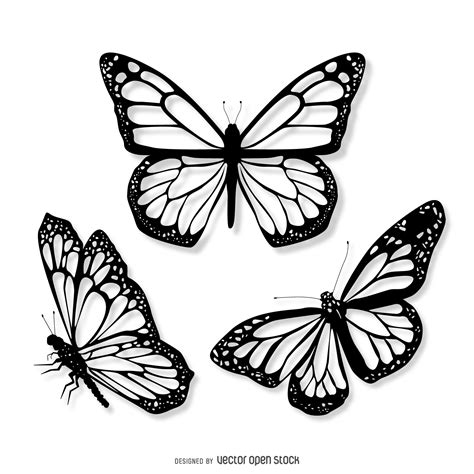 3 realistic butterfly illustration set   Vector download