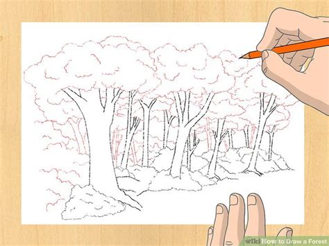 3 Ways to Draw a Forest   wikiHow