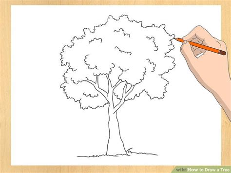 3 Ways to Draw a Tree   wikiHow