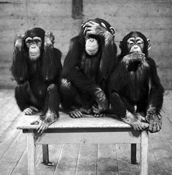3 Wise Monkeys   Let’s take their advice and follow the ...