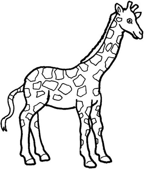 30 Desenhos de Girafa para Pintar/Colorir e Imprimir