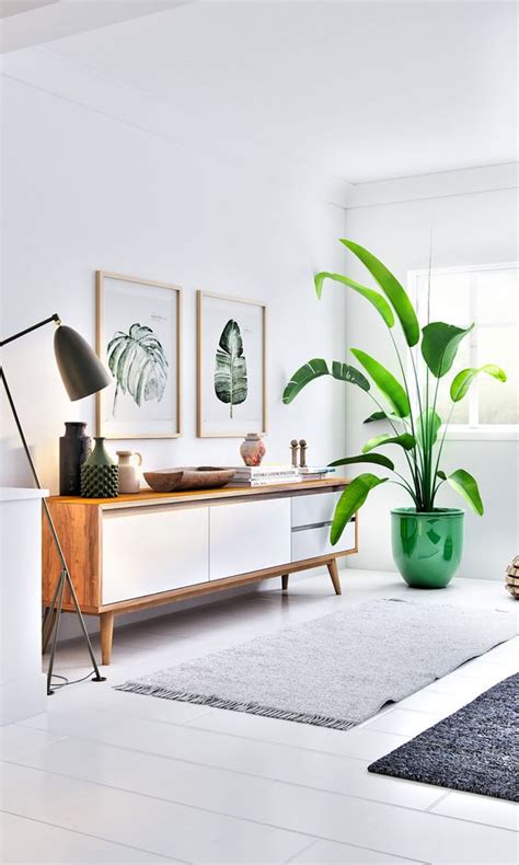 30 ideas para decorar tu hogar con plantas