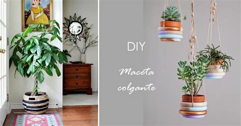 30 imágenes de inspiración para decorar con macetas | Plantas
