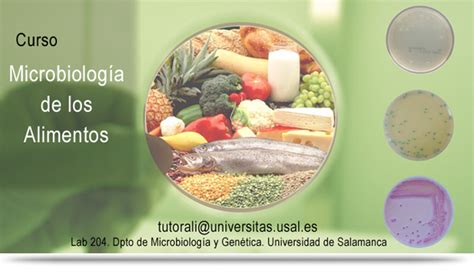 31.º Curso en Microbiología de los Alimentos