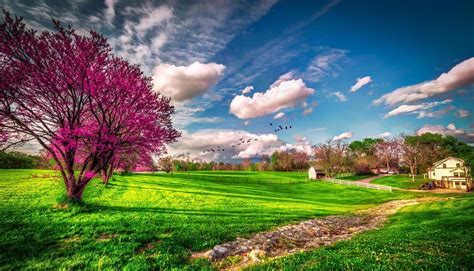 31+ HD Spring Wallpapers, Backgrounds, Images | Design ...