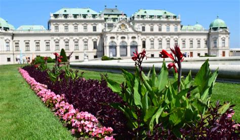 32 cosas que hacer en Viena  Austria  | Los Traveleros