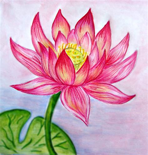 35 Beautiful Flower Drawings and Realistic Color Pencil ...