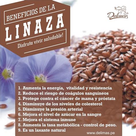 39 best images about LINAZA on Pinterest | Beauty ...
