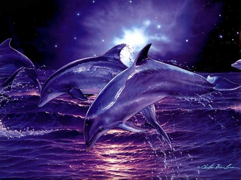 3d Digital Dolphins hd Wallpaper | High Quality Wallpapers ...