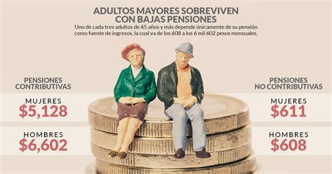 4.7 millones de adultos mayores en México sobrevive su ...