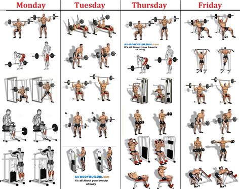 4 Day Muscle Split Routine   Gym Workout Chart