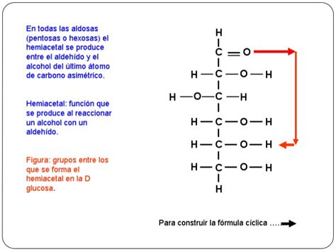 4. estructuras de hidratos de carbono