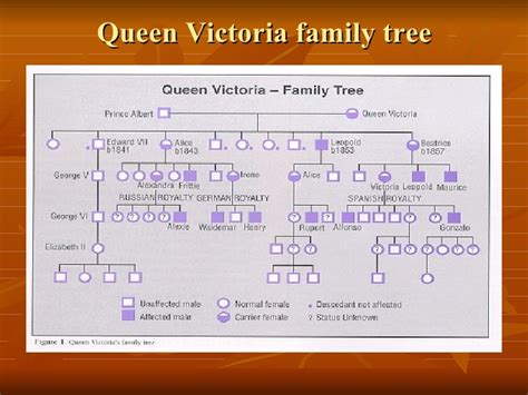 4. Haemophilia And Royal Families