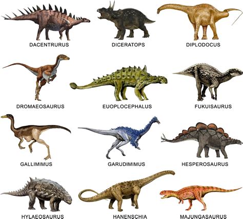 4. Tipos de Dinosaurios   DINOSAURIOS