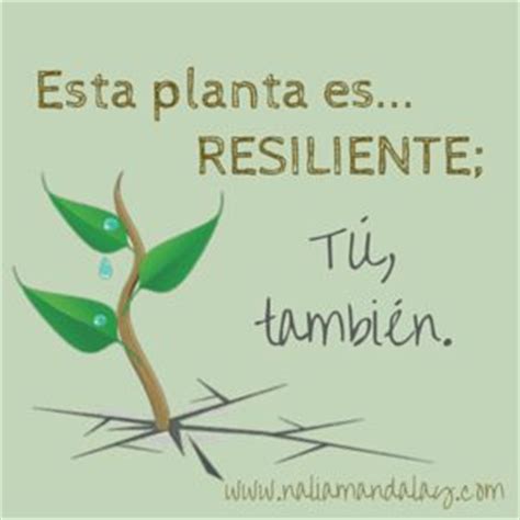 40 best images about Resiliencia on Pinterest | Of life ...