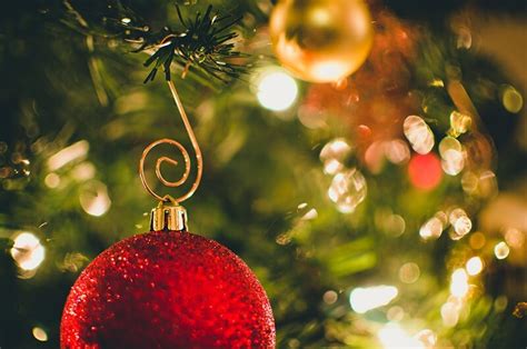 40 fotos de Navidad originales y creativas para inspirarte