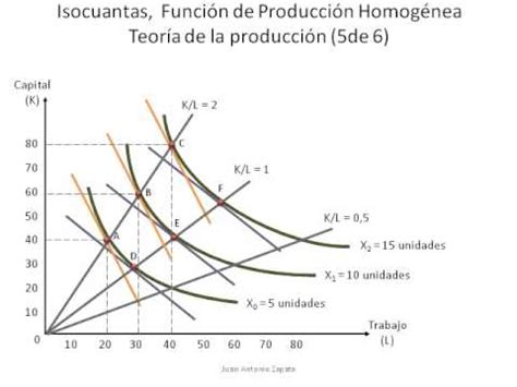 40 Isocuantas, Funcion de Produccion Homogenea   Teoria ...