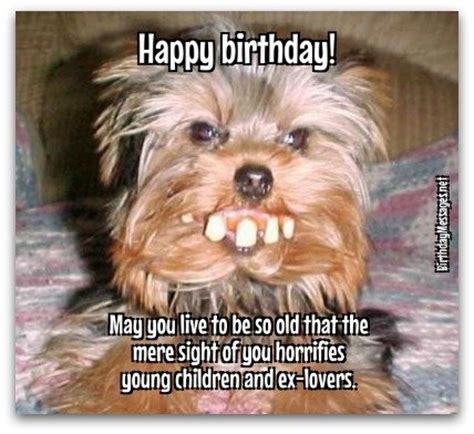 40 Most Funny Happy Birthday Wishes Image/Wallpaper/Meme