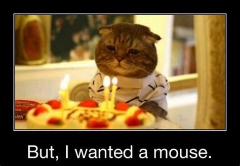 42 Most Happy Funny Birthday Pictures & Images