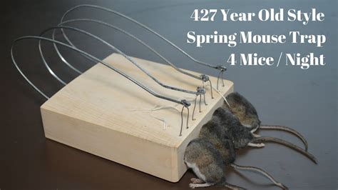427 Year Old Style Spring Mouse Trap In Action. 4 Mice in ...