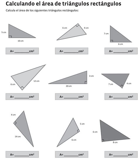 5°: Área de triángulos | David: Profesor de Matemática