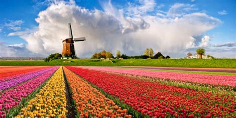 5 Atractivos que amaras toda tu vida de Holanda ...