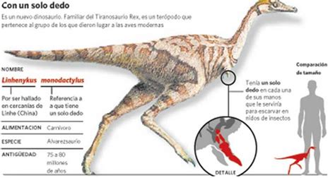 5 dinosaurios de lo más extraños   Tendenzias.com