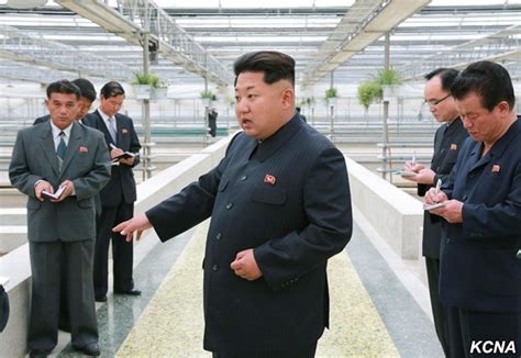 5 ejecuciones grotescas de Kim Jong un en Corea del Norte