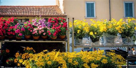 5 famosi mercatini di fiori sparsi per l Italia | best5.it
