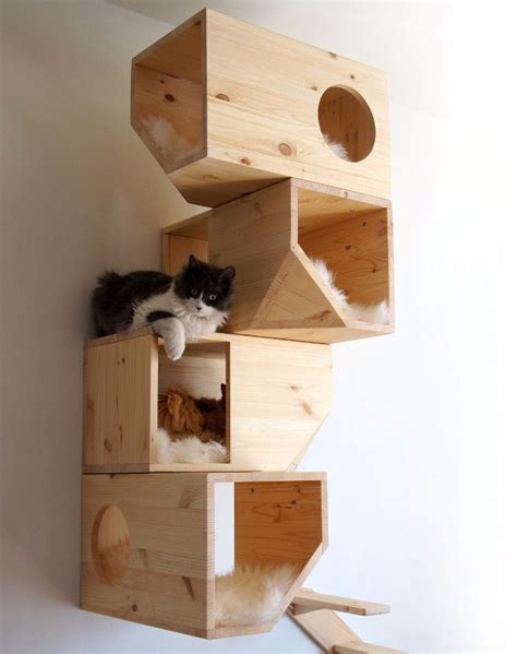 5 ideas de casas para gatos que te enamorarán | Mascotas