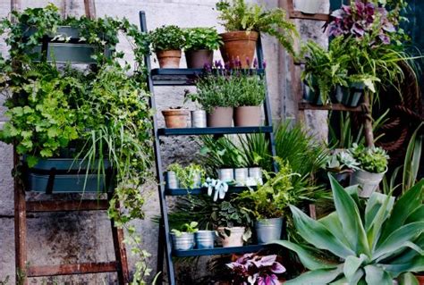 5 ideas para plantear y decorar jardines pequeños