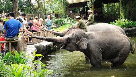 5 of the world’s best zoos   HomeAway Blog | Travel Blog