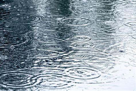 5 Weird Facts About Rain | Reader s Digest