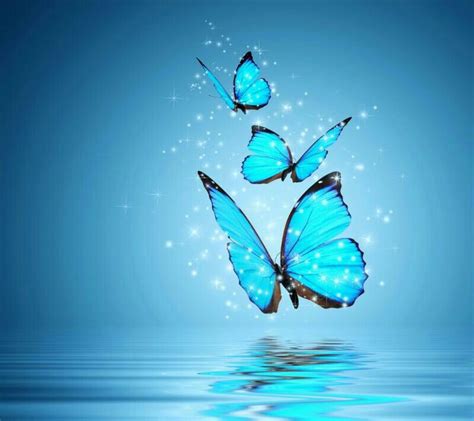 53 best images about mariposas azules on Pinterest ...